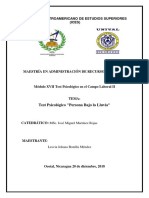 Informe Test Psicológico Persona Bajo Lluvia