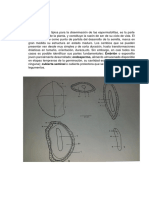 Semilla PDF