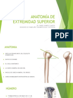 Anatomía de Extremidad Superior Daniel R1