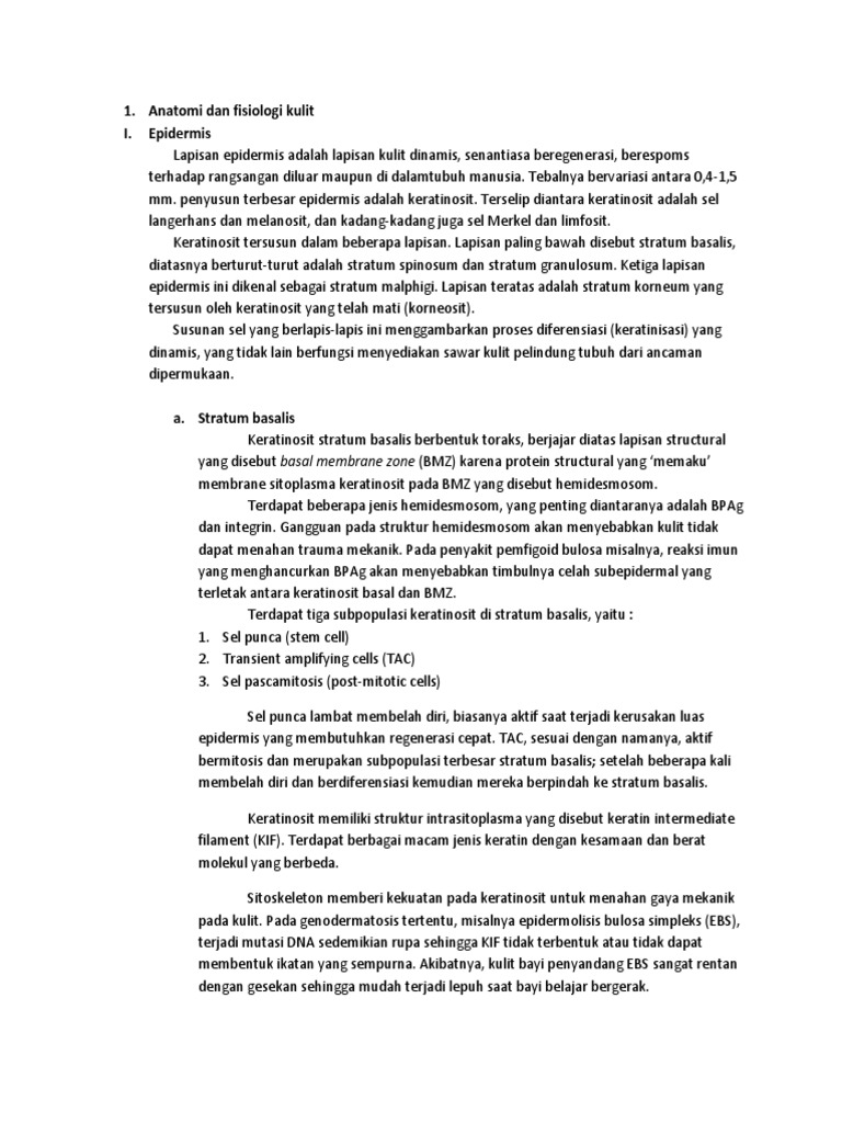 Anatomi Dan Fisiologi Kulit Pdf