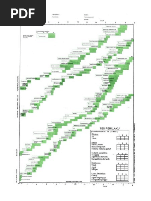 Formulir DDST Ii Denver Development Scre | PDF