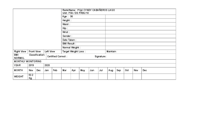 Blank Indvidual BMI Monitoring | PDF
