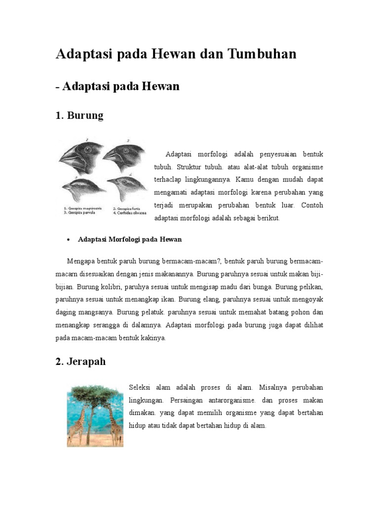 410 Koleksi Gambar Adaptasi Morfologi Pada Hewan Dan Tumbuhan Gratis