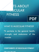 Facts About Muscular Fitness