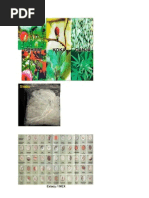 Download JENIS narkoba by EniFidrinSipayunkz SN44395505 doc pdf