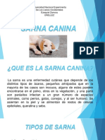 Sarna Canina