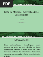 Externalidades e Bens Públicos KOL cap 5