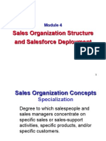 Sales Organization Structure and Salesforce Deployment