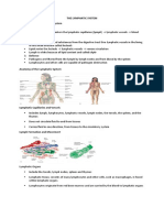 THE LYMPHATIC SYSTEM