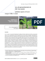 Acacia Mangium PDF