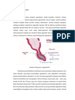 Patogenesis - Patofisiologi APP