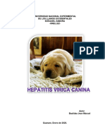 Hepatitis Virica Canina