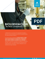 biolixiviaci__n_media_t__cnico_060119.pdf