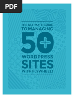 Manage 50 Wordpress Sites