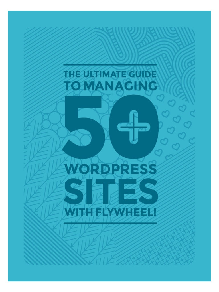 Managing 50+ WordPress Sites Efficiently | PDF | Word Press | Computing