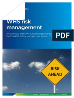 Rail Risk Management