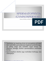 GYMNOSPERMAE.pdf