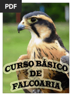 APOSTILA DO CURSO BÁSICO DE FALCOARIA