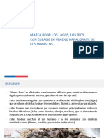 DOCUMENTOCOMISION