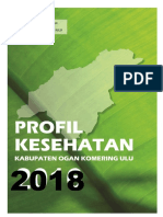 Profil 2018 Ok PDF