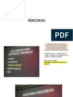 PÁNCREAS (1).pptx