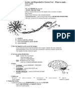 Exam Nervous System