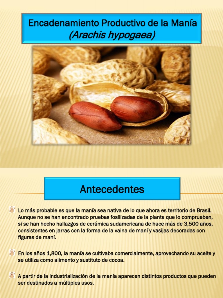 Produccion de La Mania PDF Siembra Miseria