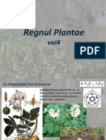 Plante 4.pdf