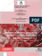 Anemia Por Deficiencia de Hierro y Otras Anemias Microcíticas