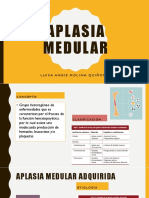 APLASIAMEDULAR