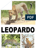 leopardo.docx