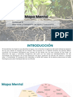 Mapa Mental Nutricion y Transporte PDF