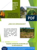 IMPACTO AMBIENTAL PRODUCIDO POR DEFORESTACION DE BOSQUES E INVASION DE PARAMOS (Autoguardado)