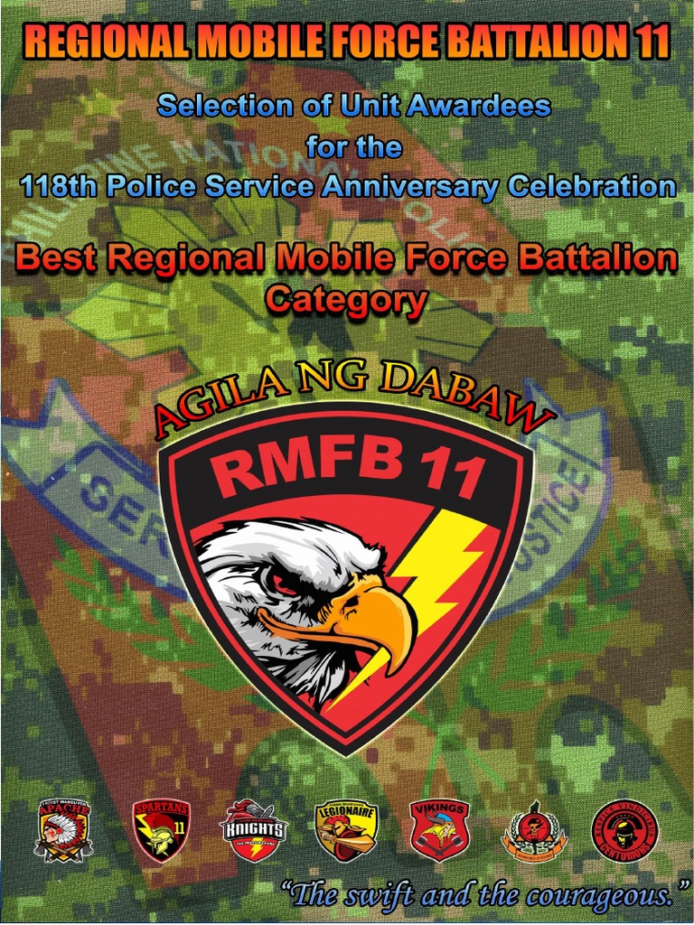 Overview of RMFB 11 Operations and Structure | PDF | Mindanao | Business