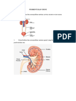 CEKLIST PEMBENTUKAN URINE