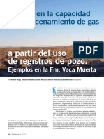 Analisis de La Capacidad de Almacenamiento de Gas