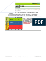 Glycolysis and TCA Thinkwell