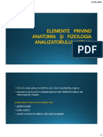 deficienta-de-vedere-02-anatomia-si-fiziologia-analizatorului-vizual