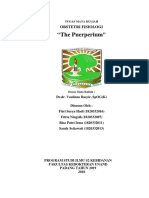 13. THE PUERPERIUM.docx