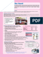 329482684-Information-sheet-Kelas-Ibu-Hamil-pdf.pdf