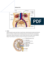 75341611-Anatomi-Dan-Fisiologi-Proses-Eliminasi.pdf