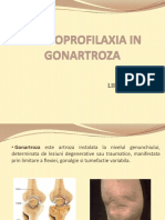 296545649-Gonartroza-kinetoprofilaxie.pptx