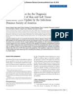 IDSAskin_softtissue_2014.pdf