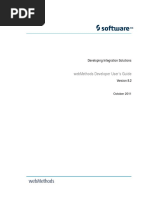 8-2-SP2_Developer_Users_Guide (1).pdf