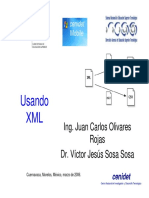 Usandoxml PDF