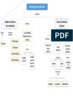 Deriva Continental - Mapa de Conceitos - Preenchido