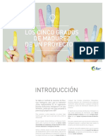 Madurez de Los Procesos de Bi PDF