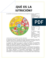 Qué Es La Nutrición