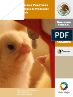 pollos.pdf