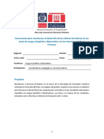 Instrumento para Monitoreo de Lengua-Matematica y Diagnóstica Ultimo